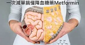 Metformin能用來減肥嗎？一次減單搞懂降血糖藥Metformin