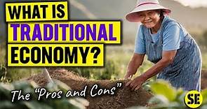 What Is a Traditional Economy Pros and Cons