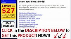Repairsurge Free + Repairsurge Auto Repair Manual Free Download