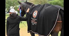 Behind the Scenes at Maclay Regionals - Photos by Peggy Kline