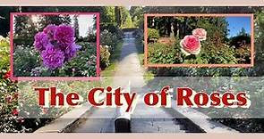 International Rose Test Garden | Portland, Oregon | Travel Lover D&E #84