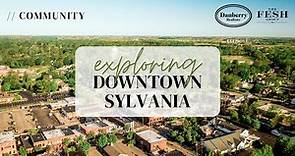 Exploring Downtown Sylvania, Ohio