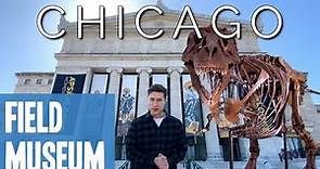 Field Museum Chicago | Guide & Review (2021)
