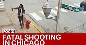 Video shows suspect fire shots at person in Chicago