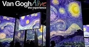 Van Gogh Alive - La experiencia inmersiva (completa)