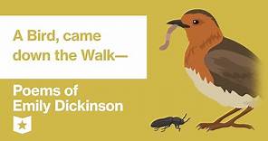 Poems of Emily Dickinson | A Bird, came down the Walk—