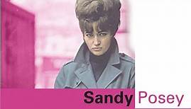 34 Great American Songs | Sandy Posey Lyrics, Meaning & Videos