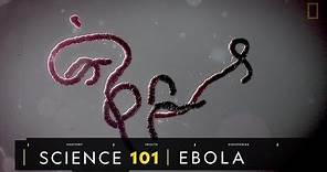 101科學教室：伊波拉病毒《國家地理》雜誌