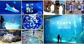 【桃園青埔】Xpark八景島水族館．必逛重點、門票、交通、停車資訊!