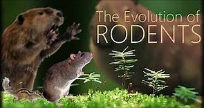 The Evolution of Rodents 🐀