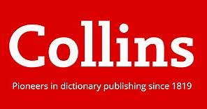 HAUNT Synonyms | Collins English Thesaurus