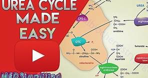 Urea Cycle Made Simple - Biochemistry Video
