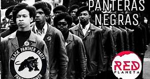 Panteras Negras The Black Panthers Party