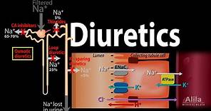 Diuretics - Mechanism of Action of Different Classes of Diuretics, Animation