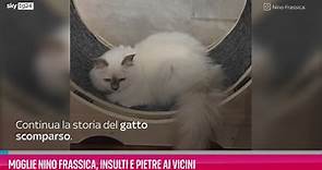 Moglie Nino Frassica, insulti e pietre ai vicini: continua la storia del gatto scomparso