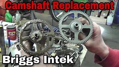Troubleshoot & Replace A Camshaft On A Briggs & Stratton Intek Engine with Taryl