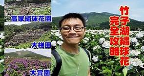 [竹子湖繡球花完全攻略] 陽明山三大熱門繡球花園對應公車站牌，大賞園遊客最少更好拍照打卡，一起來賞花吧！
