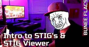 Intro to STIG's & STIG Viewer