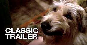Because of Winn-Dixie (2005) Official Trailer #1 - Jeff Daniels Movie HD