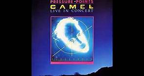 CAMEL - PRESSURE POINTS : LIVE IN CONCERT 1984 Drafted, Lies, Fingertips
