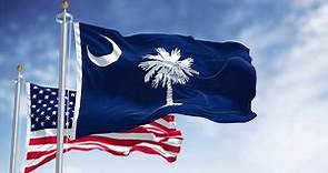 The Flag of South Carolina: History, Meaning, and Symbolism