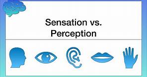 What’s the Difference between Sensation and Perception?
