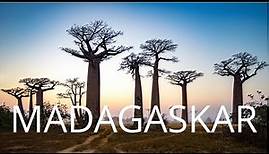 WORLD INSIGHT Reisen - Madagaskar