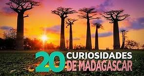 20 Curiosidades de Madagascar | El país de las especies únicas 🐸
