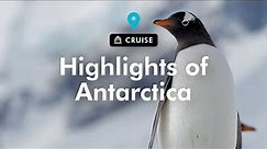 TripADeal - Highlights of Antarctica with Hurtigruten Expeditions