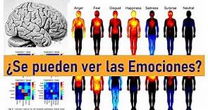 ¿Cómo se Localizan las Emociones en el Cuerpo? El Mapa de las Emociones Humanas