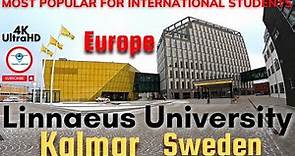 Linnaeus University | Kalmar | Vaxjo | Sweden | Europe | university campus tour | study in Sweden