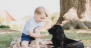 New pictures of Prince George released on his third birthday