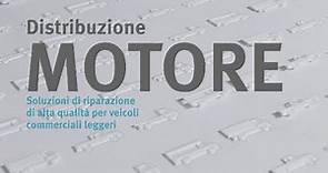 Distribuzione motore per veicoli commerciali leggeri