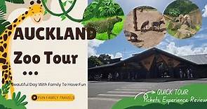 Explore Auckland Zoo | Places to visit in Auckland, New Zealand
