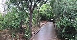 Kirby Park's new Nature Walk. - Abilene Reporter-News