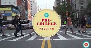 SVA Pre-College Summer Program