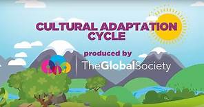 Culture Shock and The Cultural Adaptation Cycle [What It Is and What to Do About It]