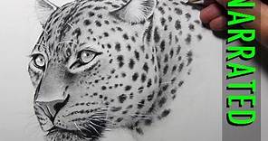 How to Draw a Leopard [Narrated, Step by Step]