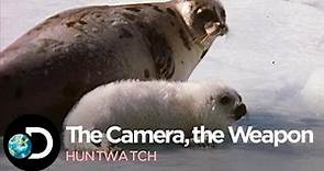 The Camera, the Weapon | Huntwatch