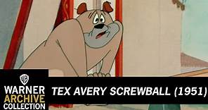 Daredevil Droopy | Tex Avery Screwball | Warner Archive