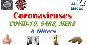 Coronaviruses | Discovery, Origins & Symptoms of COVID-19, SARS, MERS and Other Coronaviruses