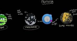 Protista | Biological Classification | Biology | Khan Academy