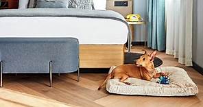 11 Hotels Where Dogs Stay Free | Pet-Friendly Hotel Chains for Your Pooch