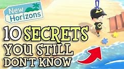 Animal Crossing New Horizons: 10 SECRET DETAILS You STILL Don't Know (Fun ACNH Tips You Should Know)