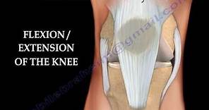Knee injury ,Injuries - Everything You Need To Know - Dr. Nabil Ebraheim