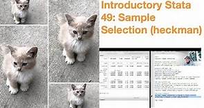 Introductory Stata 49: Sample Selection (Heckman)