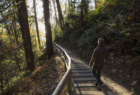 Choosing the Right Path