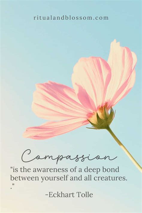 Cultivating Compassion