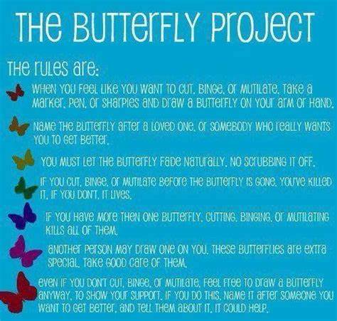 Butterfly Project Logo
