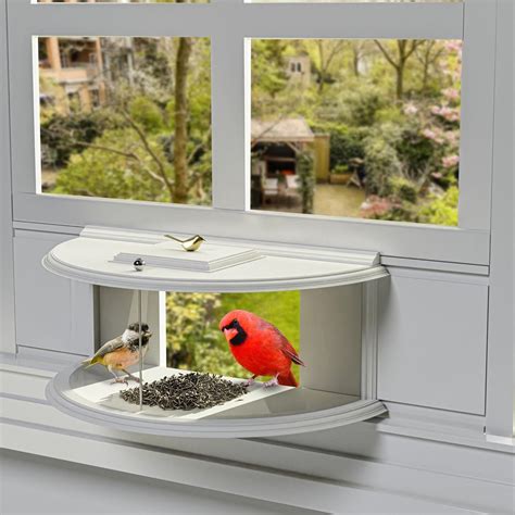 Bird Feeder for Window with Screen
